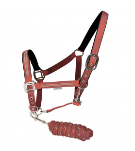 Canter Set licol et longe...