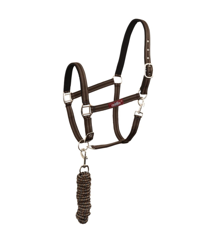 br licol marron
