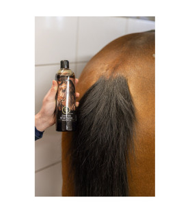 BR shampoing à l'huile de...