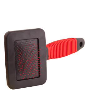 Première brosse carde pour...