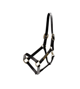 Kentucky Licol Cuir Wellington