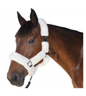 Licol Mouton CANTER