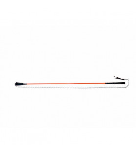 WHIP & GO Stick éthologique