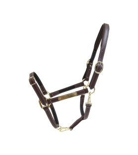 Kentucky licol flexible