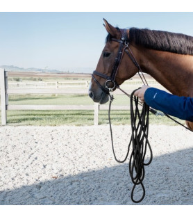 Kentucky longe 8m
