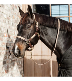 Kentucky Longe plaited...