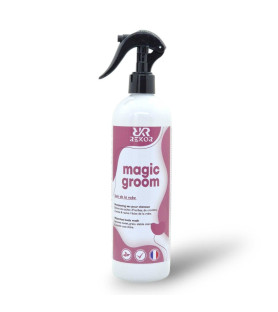 Rekor Shampoing sec Magic...