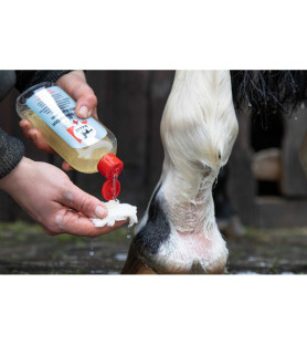 Leovet lotion lavante med