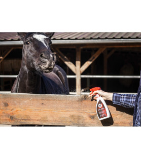 Leovet spray anti-rongement