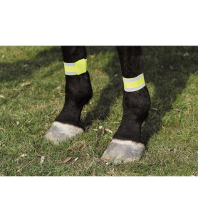 Norton bandages fluo...