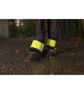 Norton bandages fluo...