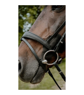 Norton bridon endurance pop