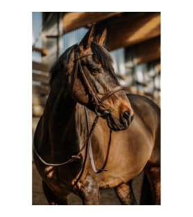 Norton bridon hunter