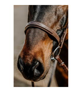Norton bridon hunter