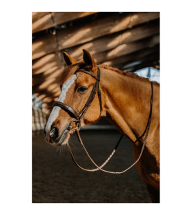 Norton bridon hunter fancy