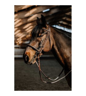 Norton bridon hunter comfy