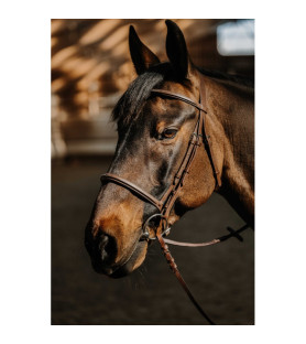 Norton bridon hunter soft