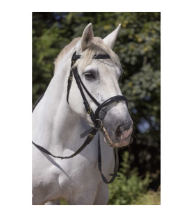 Norton club bridon cheval...