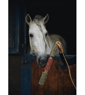 Candy Horse IMMUNITÉ – Bois...