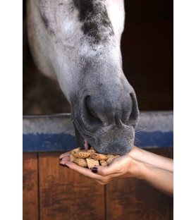 Candy horse Hooves Pomme et...