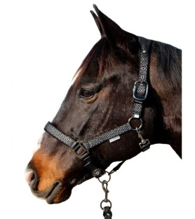 Canter ensemble licol +...
