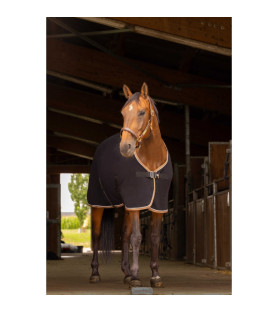 Equithème chemise polaire...