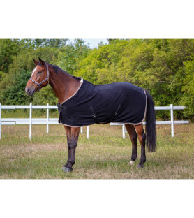 Equithème chemise polaire...