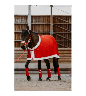 Equithème chemise Xmas