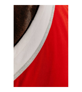 Equithème chemise Xmas