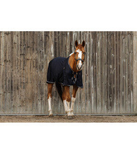 Equithème chemise micro-mesh